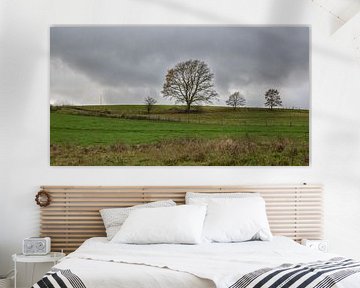 Paysage avec des arbres dans un ciel de nuages gris sur Gonnie van Hove