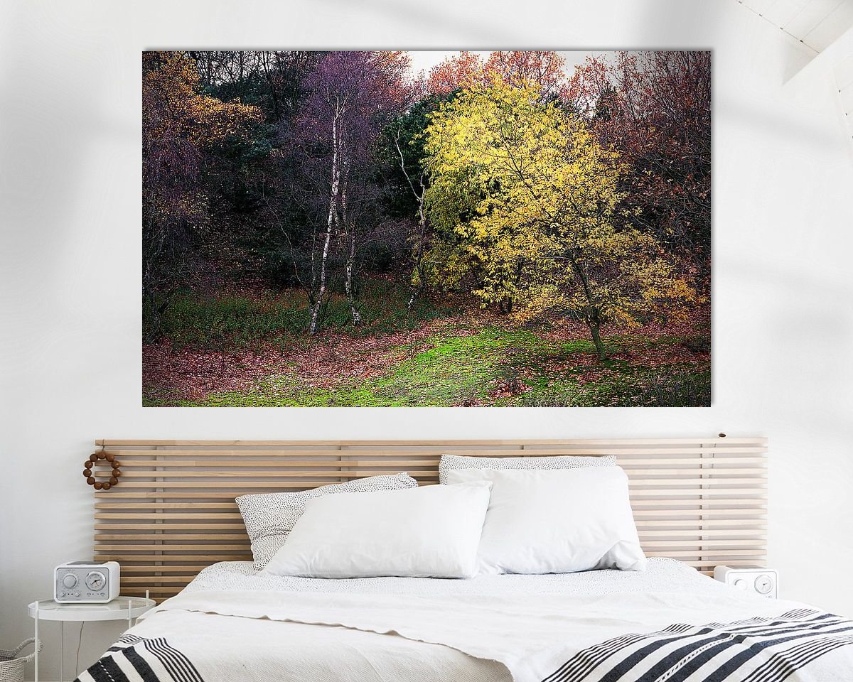 Aperçu de la chambre