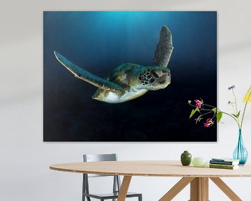 Groene zeeschildpad in duikvlucht van René Weterings