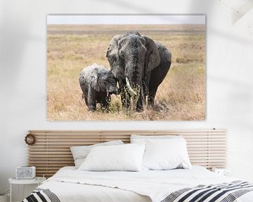Op safari in Afrika: moeder olifant met jong op de Serengeti vlakte van Rini Kools