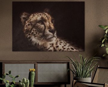 Cheeta ( katachtige ) van Monica Zimmermans