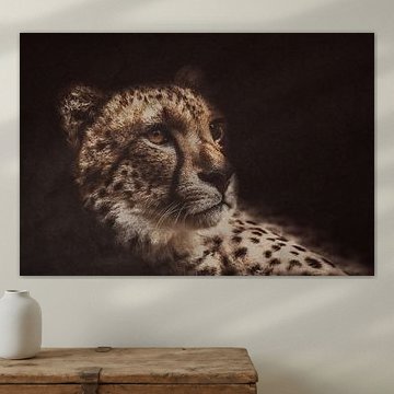 Cheeta ( katachtige )