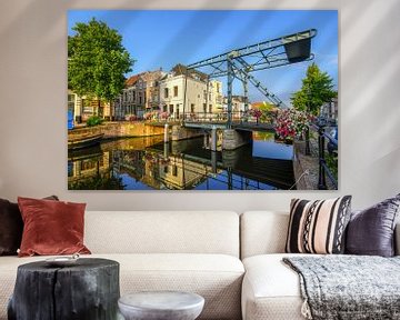 Nieuwe Rijn Leiden van Dirk van Egmond