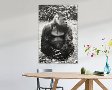 Shy? by Tamara Mollers Fotografie Mollers