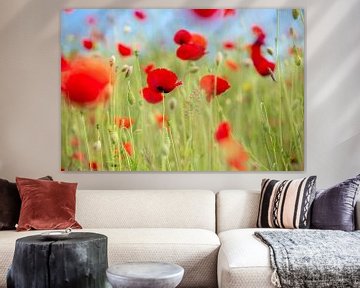 Roter Mohn in grün von Caroline van der Vecht