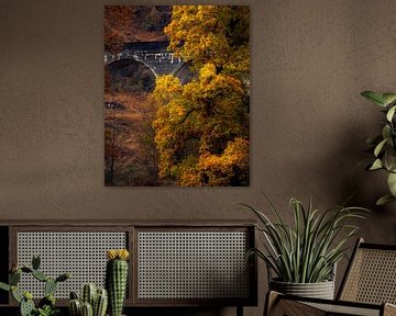 Glenfinnan viaduct by Ton Drijfhamer