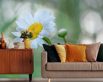 Marienkäfer auf einem Gänseblümchen #1