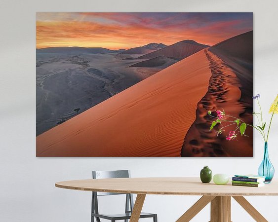 Aperçu de la chambre