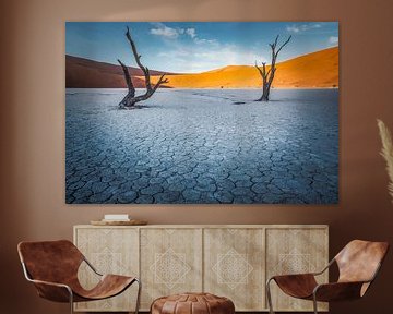 Geplaveide woestijn van Loris Photography
