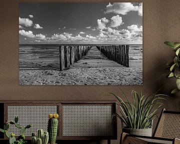 groynes at domburg in black and white by anne droogsma