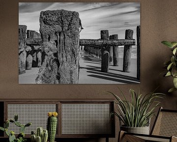 groynes coastal Zealand by anne droogsma