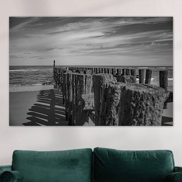 zeeland coast with groynes in black and white by anne droogsma