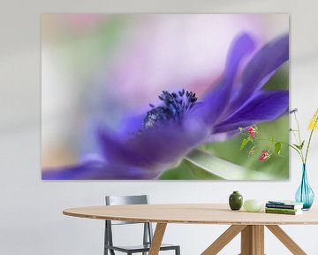 Purple Anemone by Ellen Driesse