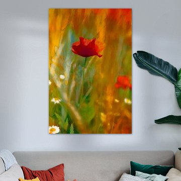 L'art du pavot et de la camomille