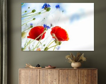 Coquelicots et bleuets sur Inge Jansen