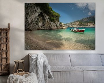 Turquoise strand in Griekenland van Edwin Mooijaart