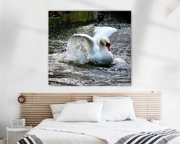Prachtige zwaan - Beautiful Swan  van Esther Kamminga