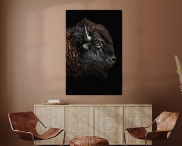 Stoere wisent buffel als portret van John van den Heuvel