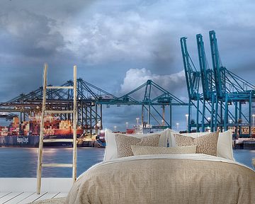 Busy container terminal Port of Antwerp by Tony Vingerhoets