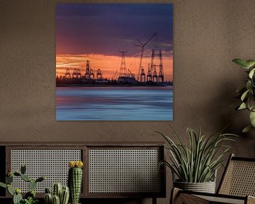Container terminal at an orange colored sunset_2 by Tony Vingerhoets