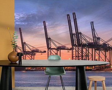 Container terminal at blue and red colored sunset  by Tony Vingerhoets