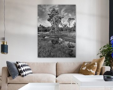 Rustige heide met een water pond_1 van Tony Vingerhoets