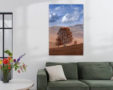paysage vallonnée avec arbre solitaire sur une steppe sur Tony Vingerhoets