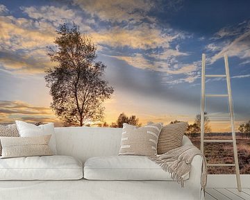 Orange Sunset with dramatic clouds and birch tree_1 by Tony Vingerhoets