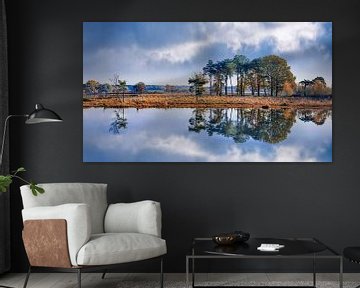 Wetland in autumn with dramatic clouds reflected in a lake by Tony Vingerhoets