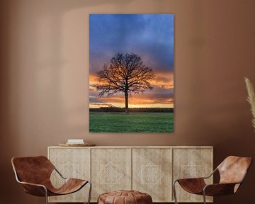 Rural landscape with tree in a field and red sunset_2 by Tony Vingerhoets