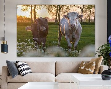 Koe en stier in het Brugse Ommeland (Damme, België) bij zonsondergang van Nele Mispelon
