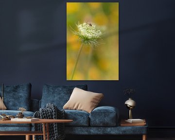 Vlieg op bloem van Moetwil en van Dijk - Fotografie