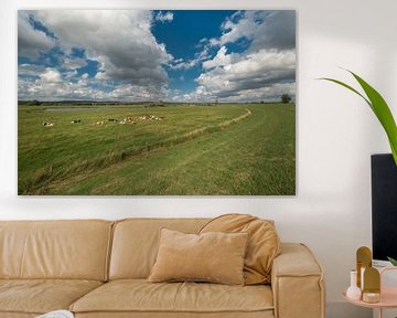 Les vaches dans les plaines inondables sur Moetwil en van Dijk - Fotografie