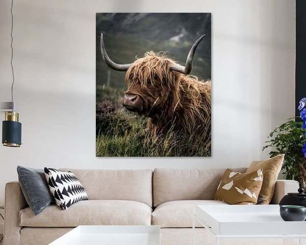 Scottish Highlander | Écosse | Tirage photo