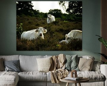 Cows on the heath by Fleurien