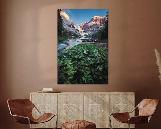 Aperçu de la chambre