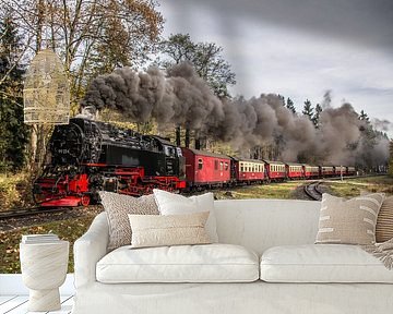 Harzer Schmalspurbahn 99-234, Abfahrt Drei Annen Hohne von Marcel Timmer
