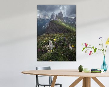 Dolomites Seceda in summer during storms by Jean Claude Castor