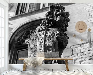 Gouda | 't old Stadhuys | Gouda City by Mascha Boot