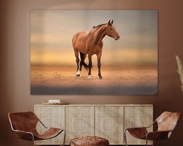 horse on the sand beach by Kim van Beveren