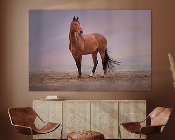 paard op het strand van Kim van Beveren