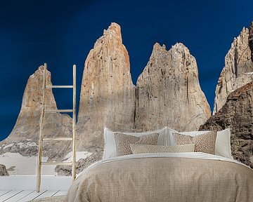 Toppen van Torres del Paine