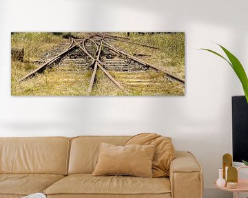 Overwoekerde spoorwissel, België I Rails Vennbahn I Retro look - Industrieel I Art kleurenprint van Floris Trapman