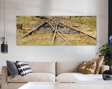 Overwoekerde spoorwissel, België I Rails Vennbahn I Retro look - Industrieel I Art kleurenprint van Floris Trapman