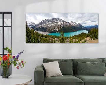 Peyto Lake, Banff National Park, Rocky Mountains, Canada, Noord-Amerika van Mieneke Andeweg-van Rijn