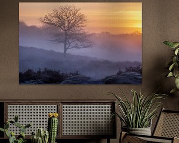 Foggy sunrise Gasterse Duinen by Jurjen Veerman