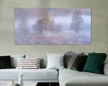 Panorama von Silberbirken im Nebel von Jurjen Veerman