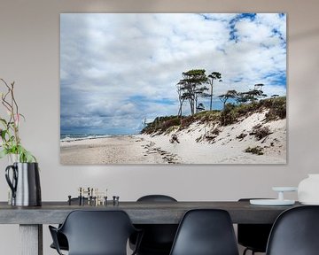 Het westelijke strand aan de Fischland-Darß van Rico Ködder