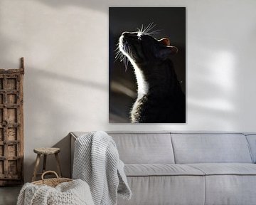 Eine neugierige Katze, die mit der Nase forscht