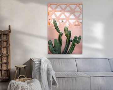 Marokko print 'Cactus Op Roze Muur' | Reisfotografie van Yaira Bernabela